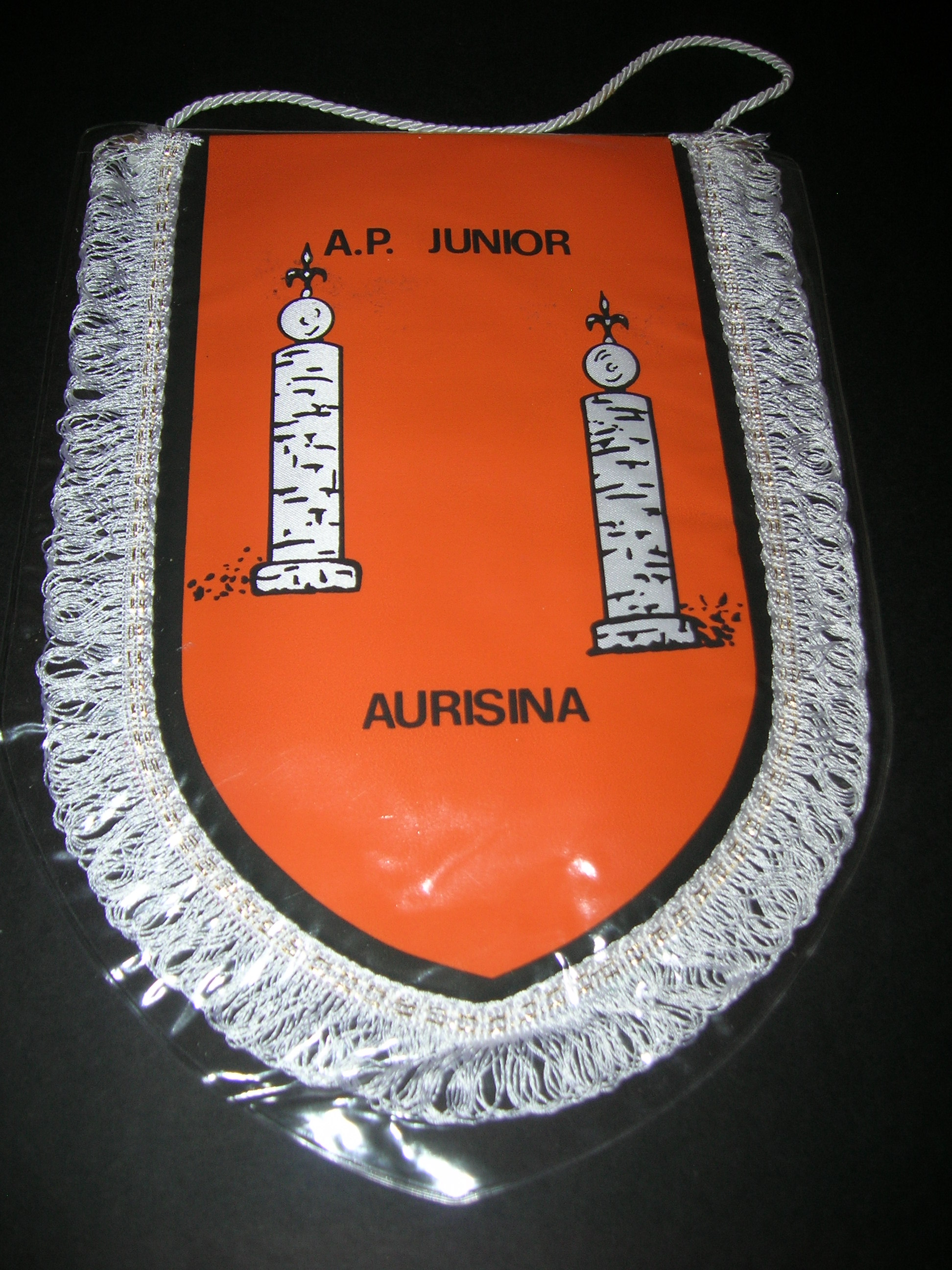 AP. Junior  Aurisina  Ts  143
